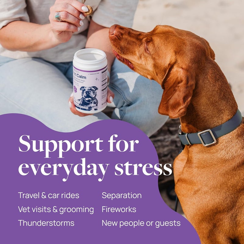 Veterinary Formula Pet Calm 60ct – Vet-Formulated Calming Chews for Dogs with L-Theanine, L-Tryptophan for Behavior Support, Relaxation Treats, Puppy Chews for Stressful Situations, Dog Calming Aid - Image 4